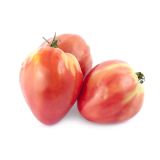 PLODOVKE L'ORTO FRUTTIFERO VOLOVSKO SRCE RDEČE 1/1 CUOR DI BUE CLASSIC L10