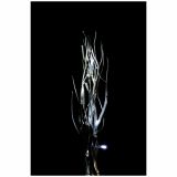 LED VRBOVE VEJE 100 CM