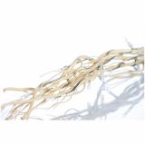 LED VRBOVE VEJE 100 CM