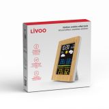 VREMENSKA POSTAJA LIVOO SL264