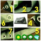 ZAŠČITNA PONJAVA EKSPAND 6X8 M 130 G/M2