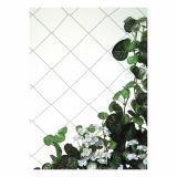 VRTNARSKA MREŽA WINDHAGER ZA VZPENJALKE,ZA KUMARE FIŽOL, GRAH 2X5 M ZELENA