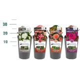 VRTNICA DIŠEČA PREMIUM L3 L