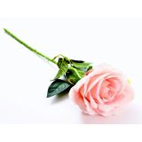 UMETNO CVETJE VRTNICA VEJICA 50CM SALMON