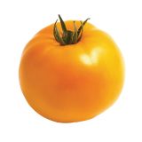 PLODOVKE CEPLJEN PARADIŽNIK MAXI ORANGE