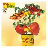 VRTNINA DOBRO & ZDRAVO CEPLJEN PARADIŽNIK 2/1