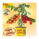 VRTNINA DOBRO & ZDRAVO CEPLJEN PARADIŽNIK 2/1