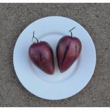 ZELENJAVNA SADIKA DOBRO & ZDRAVO PEPINO