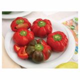 PLODOVKE VOLMARY CAPSICIM ANNUM 10.5 CM PRITAVIT F1