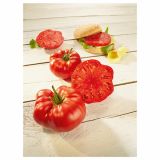 PLODOVKE VOLMARY CEPLJEN PARADIŽNIK BUFFALO STEAK 12 CM