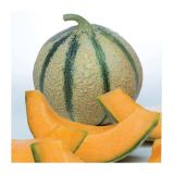 PLODOVKE VOLMARY CEPLJENA MELONA PERSEUS