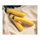 PLODOVKE VOLMARY CUCURBITA PEPO GOLDEN DELIGHT F1
