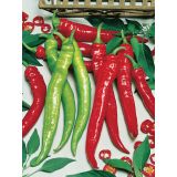 PLODOVKE VOLMARY DOLGA TURŠKA PAPRIKA LYRIC HOT