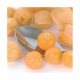 VRTNINA VOLMARY PERUJSKO VOLČJE JABOLKO