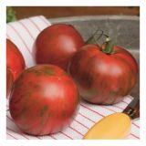 PLODOVKE VOLMARY RDEČ PROGAST PARADIŽNIK TIMENTA F1