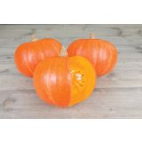 PLODOVKE VOLMARY SRČASTA BUČA HOKAIDO AMORO L10.5