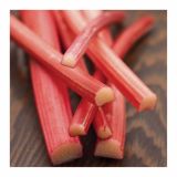 RABARBARA VOLMARY ZGODNJA L17