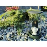 ŽALNA SVEČA STATUS ELEKTRONSKA - TRANSPARENT ARDEO