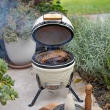 ŽAR NA OGLJE LIVOO DOC283C