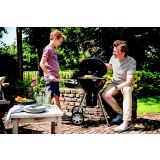 ŽAR NA OGLJE NAPOLEON NK18-LEG-2