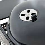 ŽAR NA OGLJE NATERIAL PHOENIX GAMMA Z MIZICAMI IN VOZIČKOM