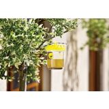 ZAŠČITA PRED INSEKTI WINDHAGER LOVILNA POSODA ZA OSE MALA 2 KOS