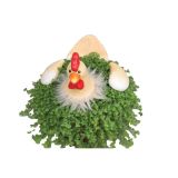 ZELENA RASTLINA DRUŽINSKA SREČA KOKOŠ VELIKA NOČ