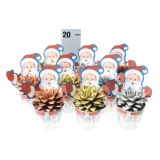 EŠEVERIJA ESCHEVERIA BARVANA NOVO LETO L8.5