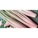 KORENOVKE L'ORTO FRUTTIFERO ZELENA RDEČA 4/1 DI TORINO KULTIPAK