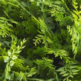 ZELENA STENA INTER CERAMIC MADEIRA 50X50 CM POLIETILEN ZELENA