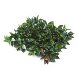 ZELENA STENA INTER CERAMIC PORTO 50X50 CM POLIETILEN ZELENA/RDEČA