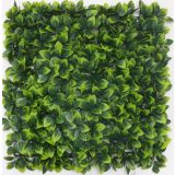 ZELENA STENA INTER CERAMIC SINTRA 50X50 CM POLIETILEN ZELENA