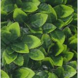 ZELENA STENA INTER CERAMIC SINTRA 50X50 CM POLIETILEN ZELENA