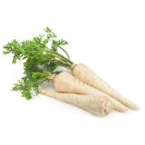 ZELENJAVNA SADIKA PASTINAK 9 KOS