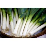 ZELENJAVNA SADIKA POR 9 KOS