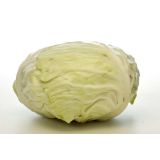 KAPUSNICE L'ORTO FRUTTIFERO ZELJE 4/1 SENNEN F1 KULTIPAK