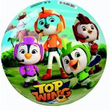 ŠPORTNI REKVIZIT STAR ŽOGA TOP WINGS 23 CM