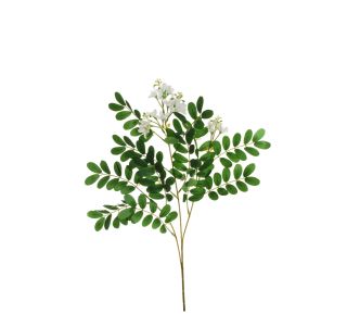 UMETNO CVETJE EVERGREENS AKACIJA KREMNO BELA