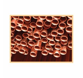 BAKRENA CEV 22X1 MM YORKSHIRE V PALICI