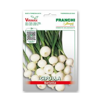 ČEBULNICA FRANCHI SEMENTI ČEBULA BARLETTA