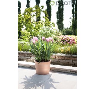 GLINENI ZUNANJI LONEC DEROMA CILINDRO BORDATO BELJEN 18 CM