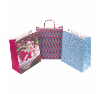 DARILNA VREČKA EKO LUX B 270X120X370, 264X136X327