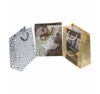 DARILNA VREČKA MAT RED KLASIKA A4 Z VRVICO 264X136X327 MM