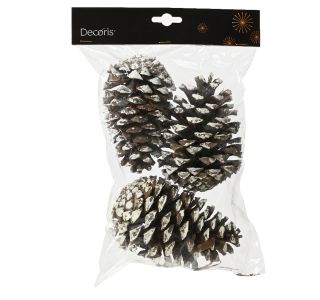 DEKORACIJA DECORIS STORŽI NARAVNI Z BELIMI KONICAMI 3/1