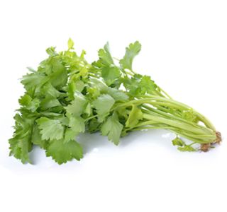 DIŠAVNICA ZELENA L10 CM