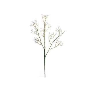 GIPSOFILA VEJICA 54CM GIPSOFILA VEJICA 54CM