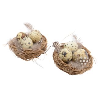 GNEZDO Z JAJCI IN PERJEM, 2/1 GNEZDO Z JAJCI IN PERJEM, 2/1