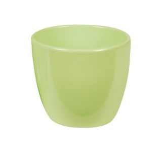 HORTER 909, KIVI ZELEN