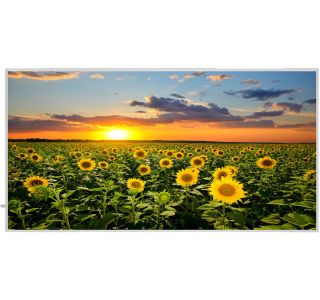 IR GRELNI PANEL 600 W FOTOMOTIV - SONČNICA IR GRELNI PANEL 600 W FOTOMOTIV - SONČNICA