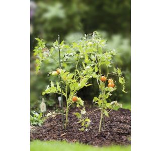 OPORNA PALICA WINDHAGER JEKLENA PLASTIFICIRANA 120 CM/11 MM OPORNA PALICA WINDHAGER JEKLENA PLASTIFICIRANA 120 CM/11 MM